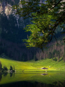 Bavarian Alps and Forest wallpaper 132x176