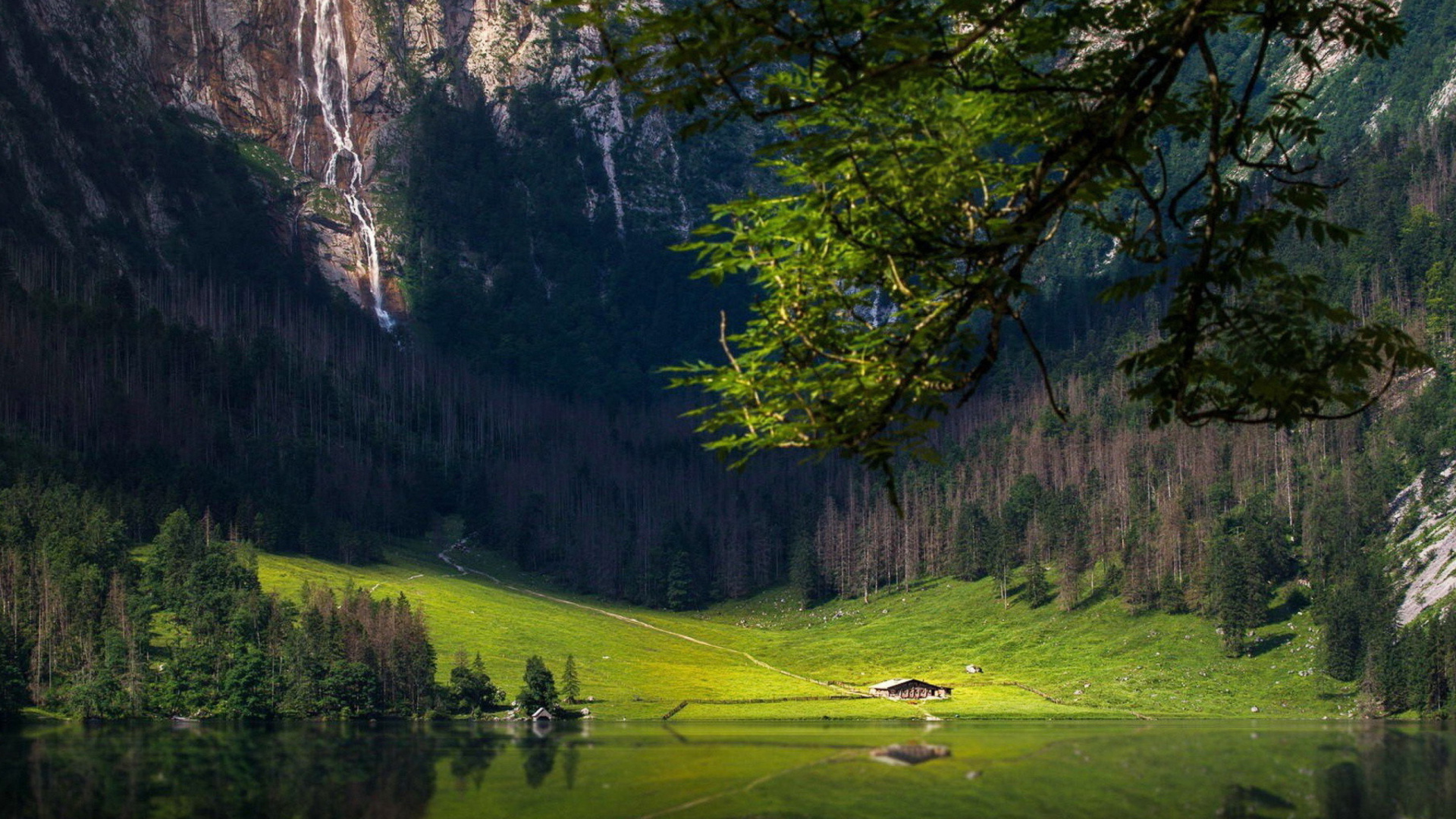 Das Bavarian Alps and Forest Wallpaper 1920x1080