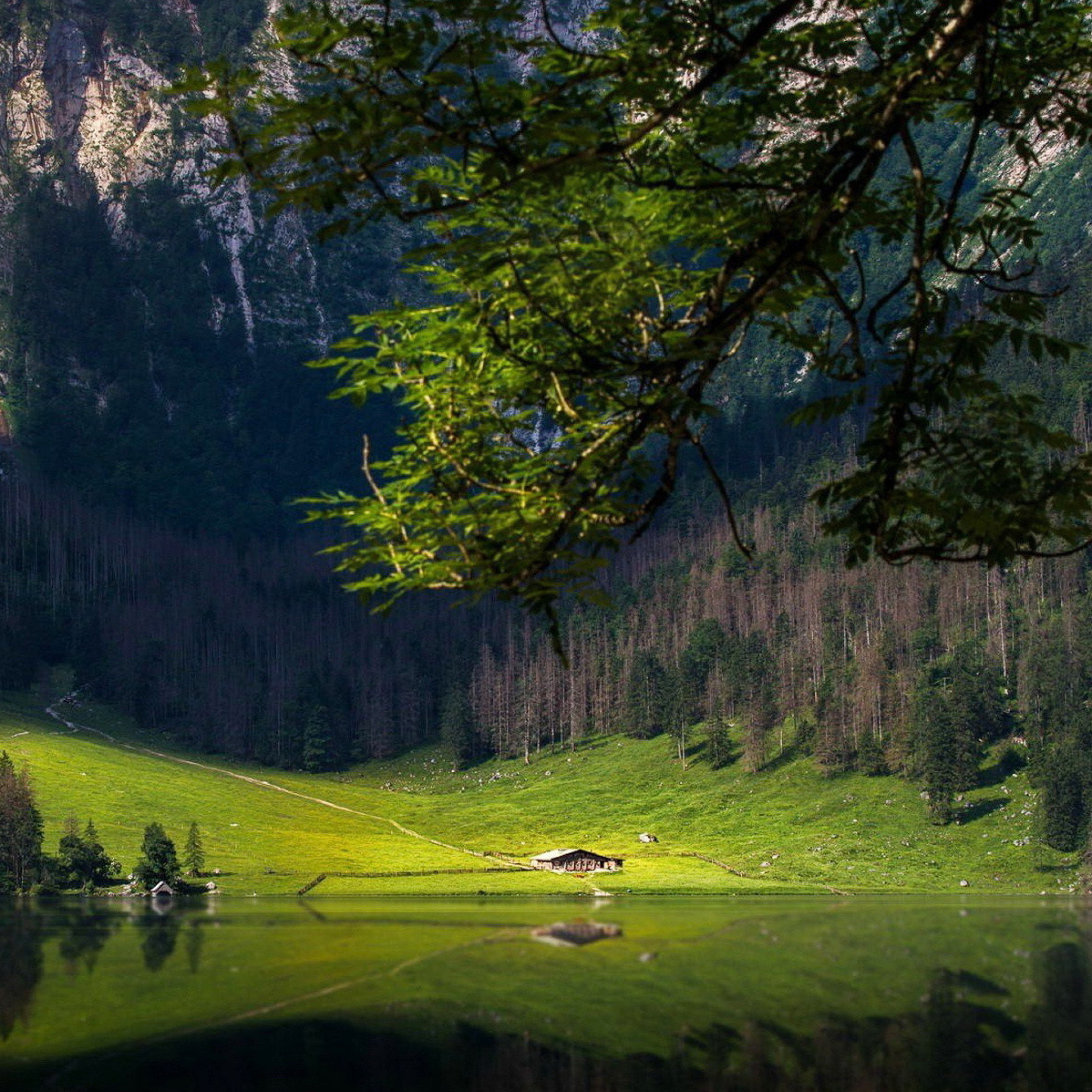 Sfondi Bavarian Alps and Forest 2048x2048