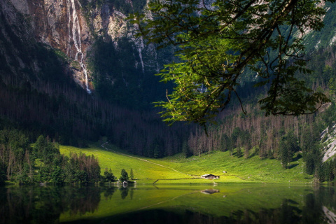 Bavarian Alps and Forest wallpaper 480x320