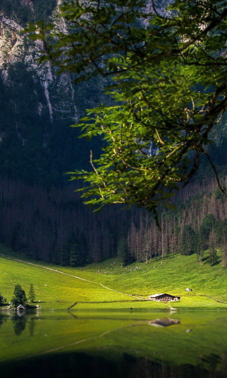 Das Bavarian Alps and Forest Wallpaper 768x1280