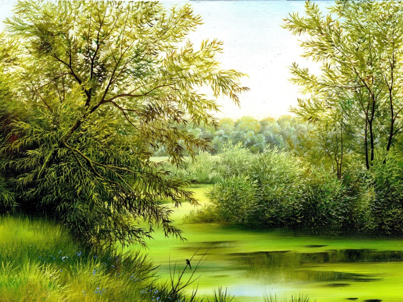 Sfondi Nature, Painting, Canvas 800x600