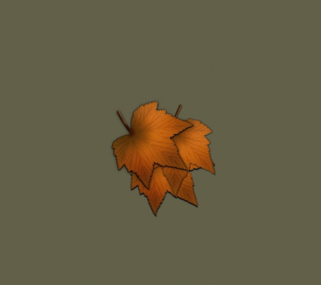 Sfondi Autumn Wallpaper 1080x960