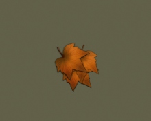 Autumn Wallpaper screenshot #1 220x176