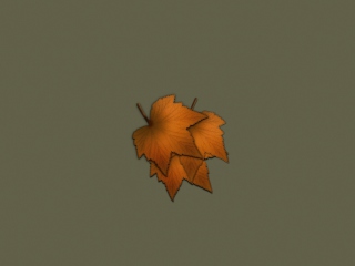 Autumn Wallpaper screenshot #1 320x240