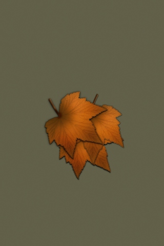 Sfondi Autumn Wallpaper 320x480
