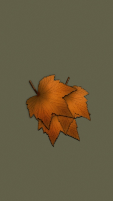 Sfondi Autumn Wallpaper 360x640