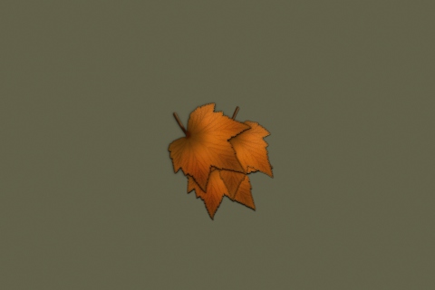 Fondo de pantalla Autumn Wallpaper 480x320