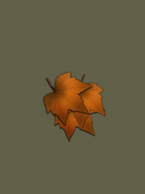 Autumn Wallpaper screenshot #1 480x640