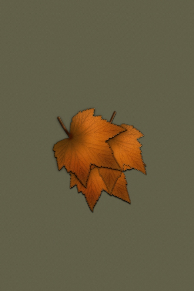 Das Autumn Wallpaper Wallpaper 640x960