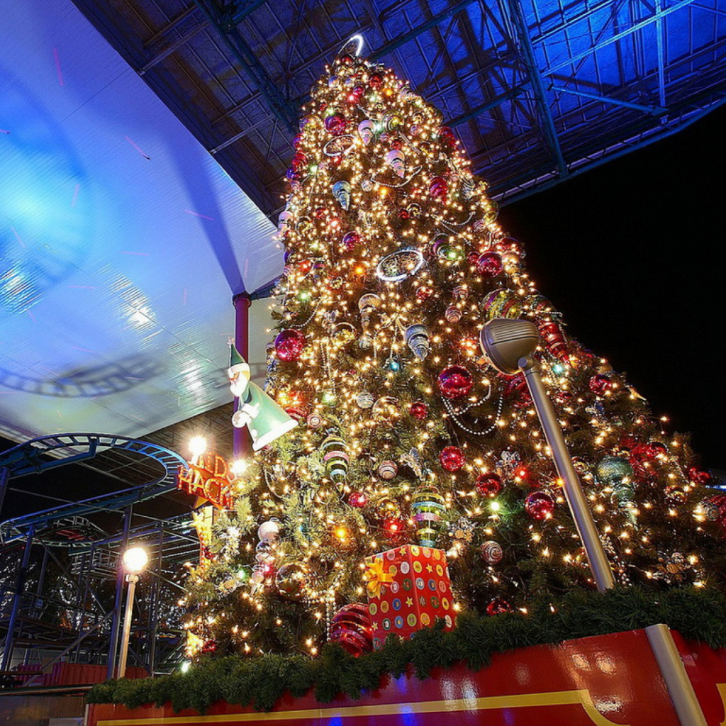 Fondo de pantalla Christmas Tree In Night 1024x1024