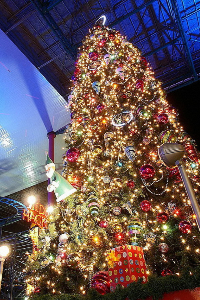 Fondo de pantalla Christmas Tree In Night 640x960