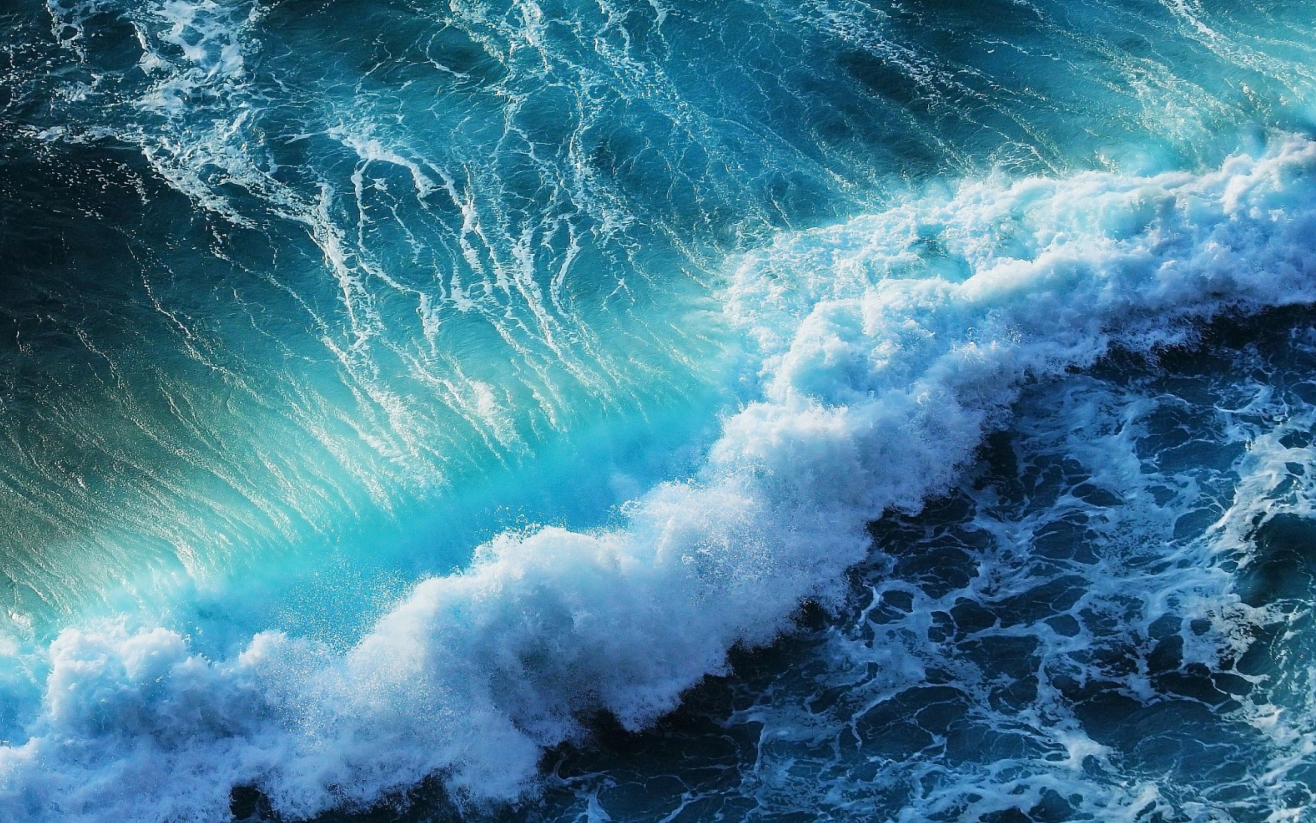 Screenshot №1 pro téma Strong Ocean Waves 2560x1600