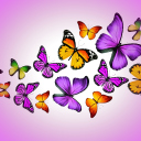 Fondo de pantalla Orange And Purple Butterflies 128x128