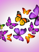 Das Orange And Purple Butterflies Wallpaper 132x176