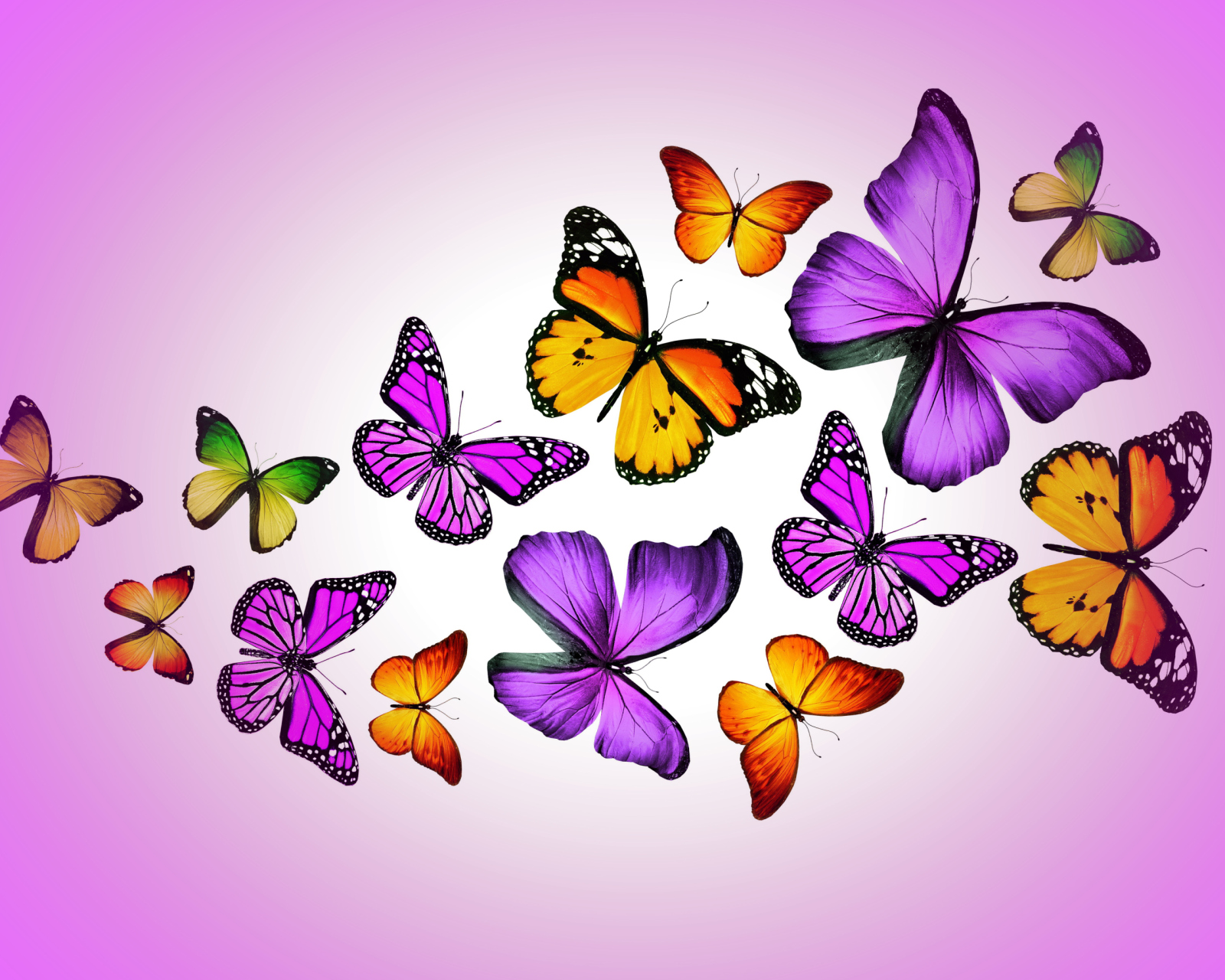 Обои Orange And Purple Butterflies 1600x1280