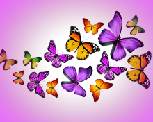 Das Orange And Purple Butterflies Wallpaper 220x176