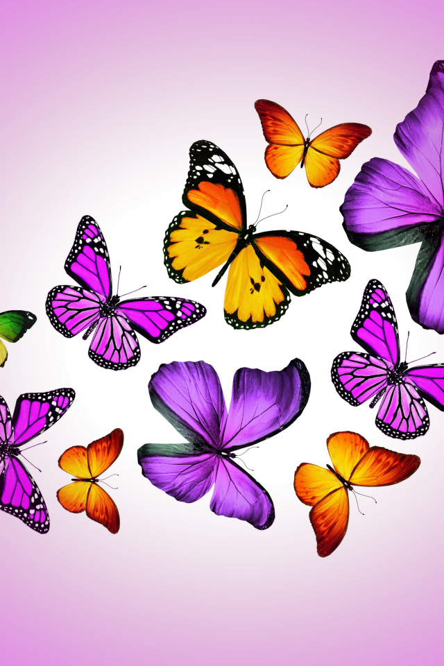 Orange And Purple Butterflies screenshot #1 640x960