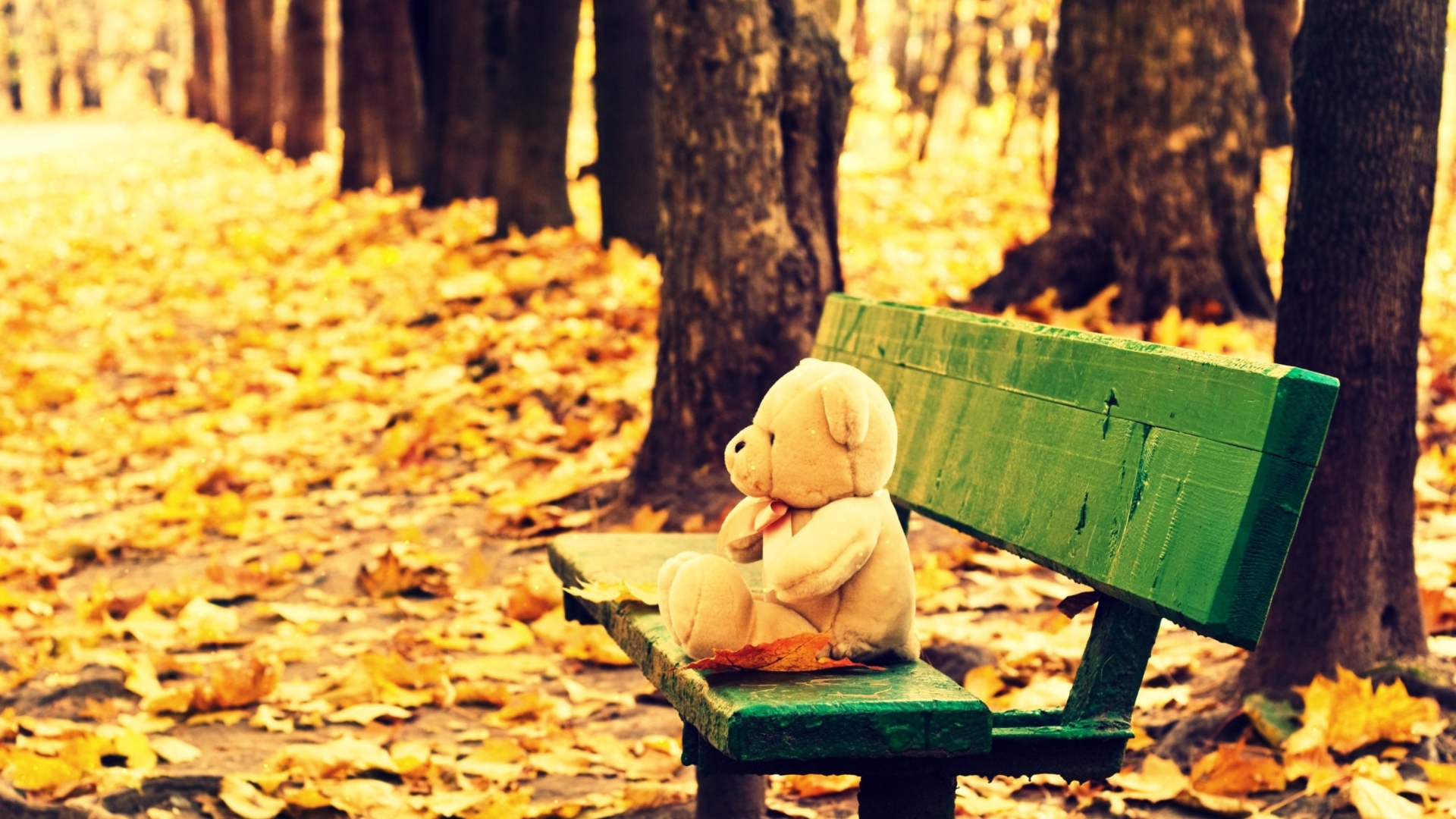 Das Teddy Bear Forgotten On Bench Wallpaper 1920x1080