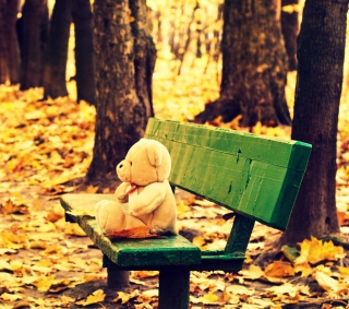 Free Teddy Bear Forgotten On Bench Picture for iPad 3
