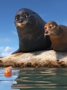 Finding Dory with Fish and Seal wallpaper 132x176
