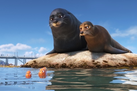 Обои Finding Dory with Fish and Seal 480x320