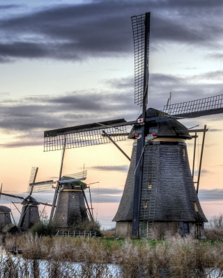 Kinderdijk Village in Netherlands sfondi gratuiti per Nokia X3-02