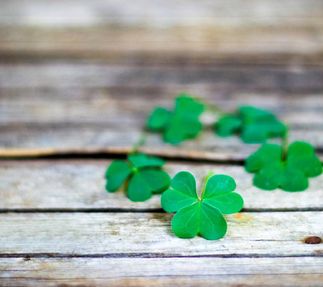 Macro clover leaves wallpaper 1080x960