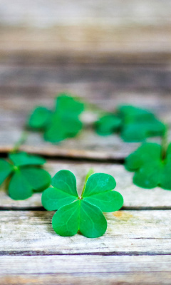 Das Macro clover leaves Wallpaper 240x400