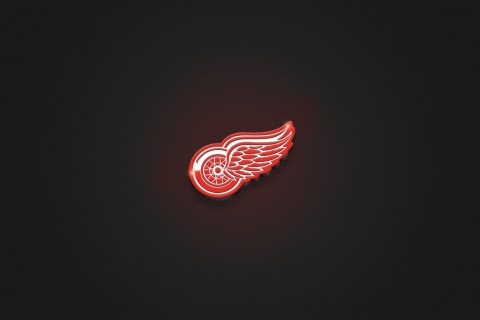 Screenshot №1 pro téma Detroit Red Wings 480x320