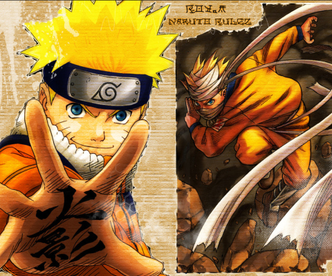 Das Naruto Wallpaper 480x400