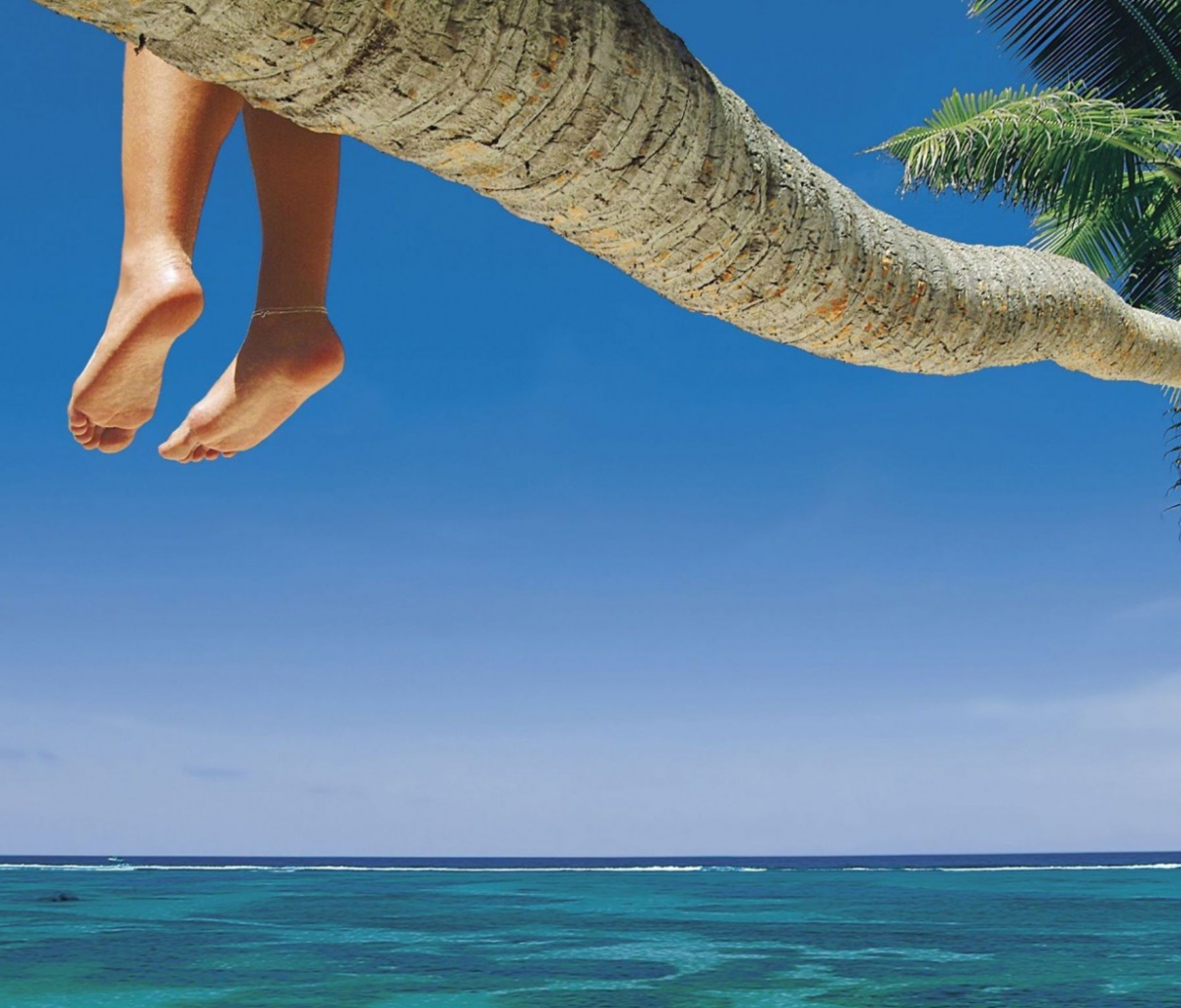 Sfondi Sitting On Palm Tree Above Ocean 1200x1024