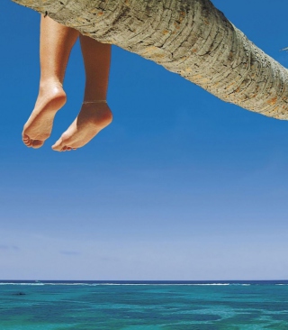 Sitting On Palm Tree Above Ocean - Obrázkek zdarma pro 128x160