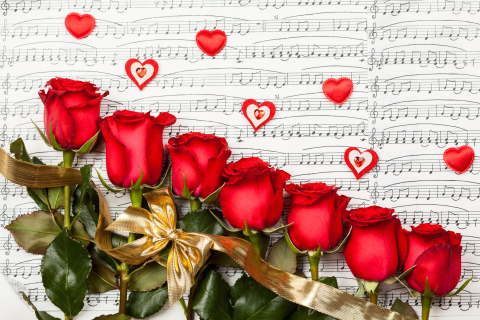 Обои Roses, Love And Music 480x320