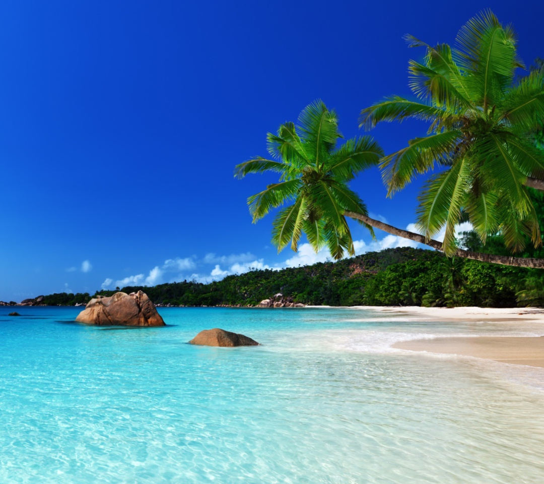 Tropical Paradise wallpaper 1080x960