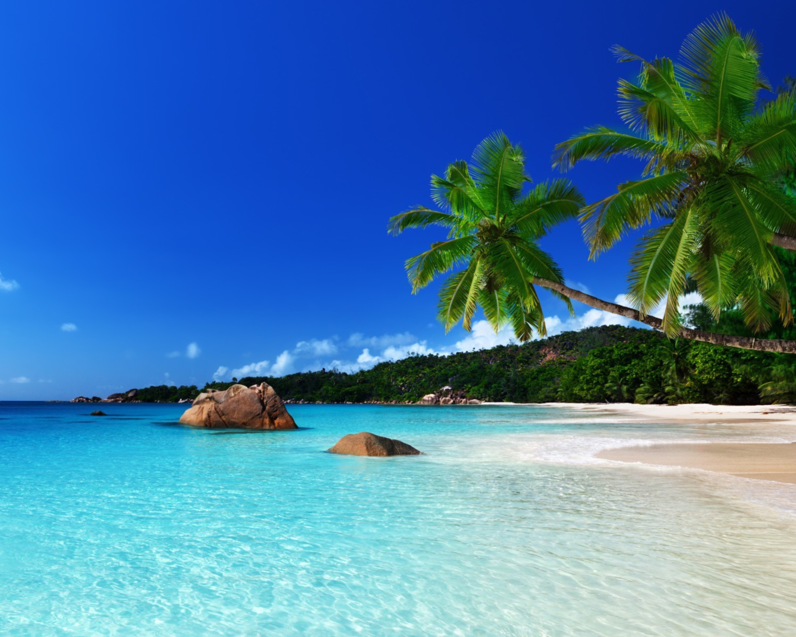 Tropical Paradise wallpaper 1600x1280