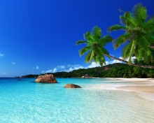Tropical Paradise screenshot #1 220x176