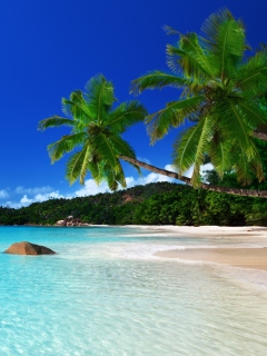 Tropical Paradise screenshot #1 240x320