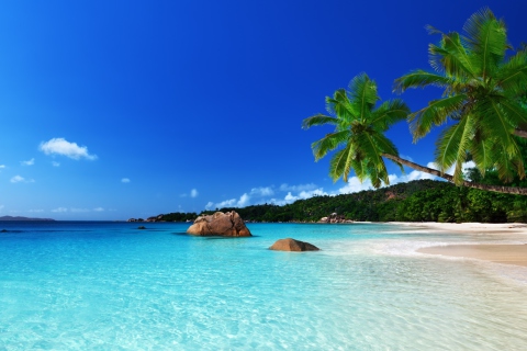 Tropical Paradise screenshot #1 480x320