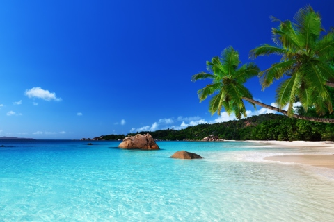 Обои Tropical Paradise 480x320