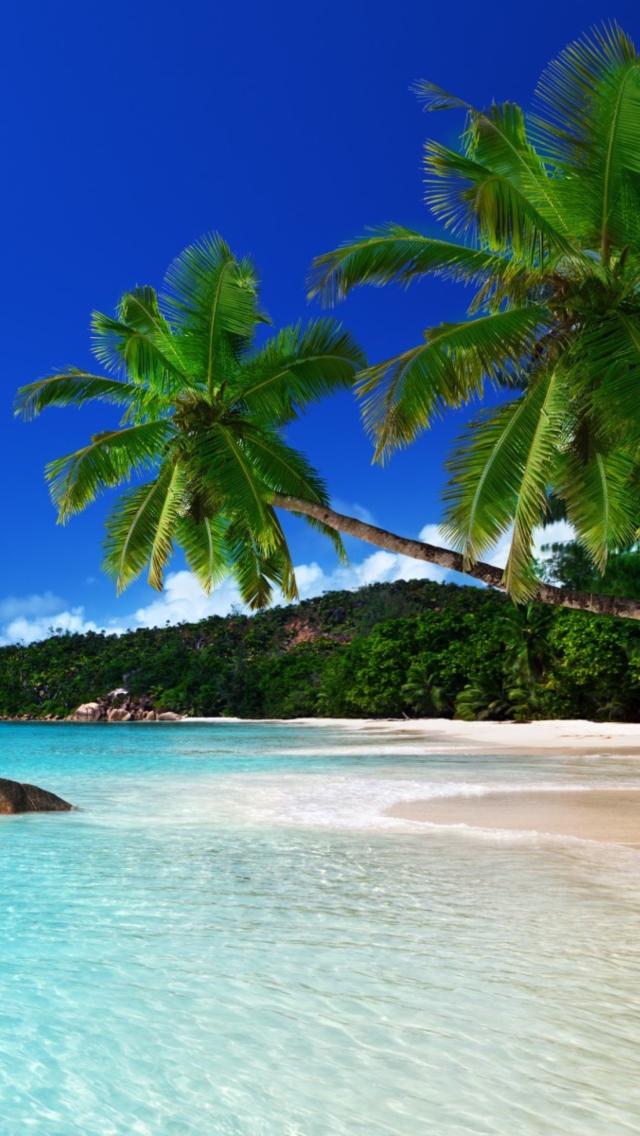 Das Tropical Paradise Wallpaper 640x1136