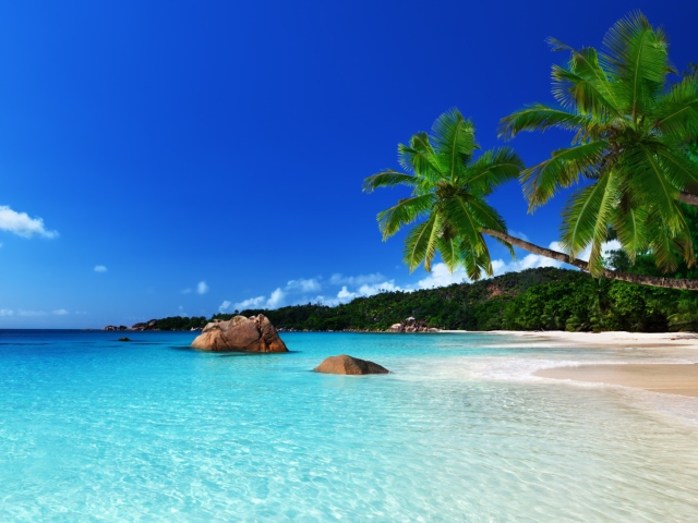 Fondo de pantalla Tropical Paradise 640x480