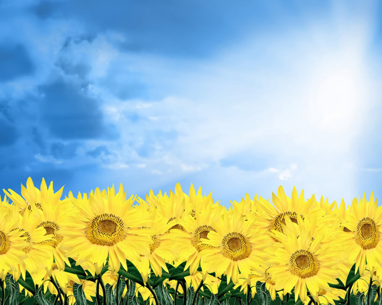 Обои Sunflowers 1280x1024