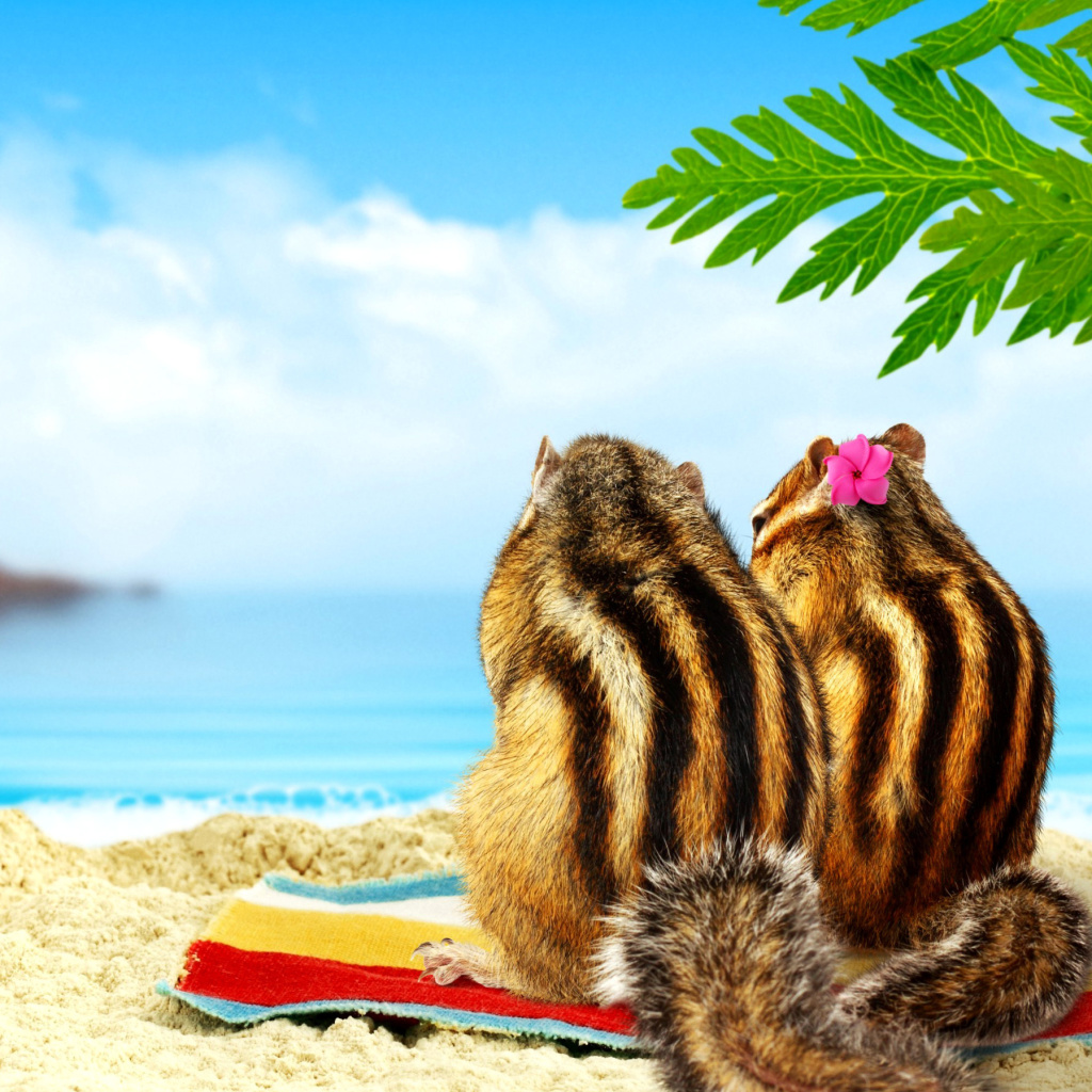 Das Chipmunks on beach Wallpaper 1024x1024