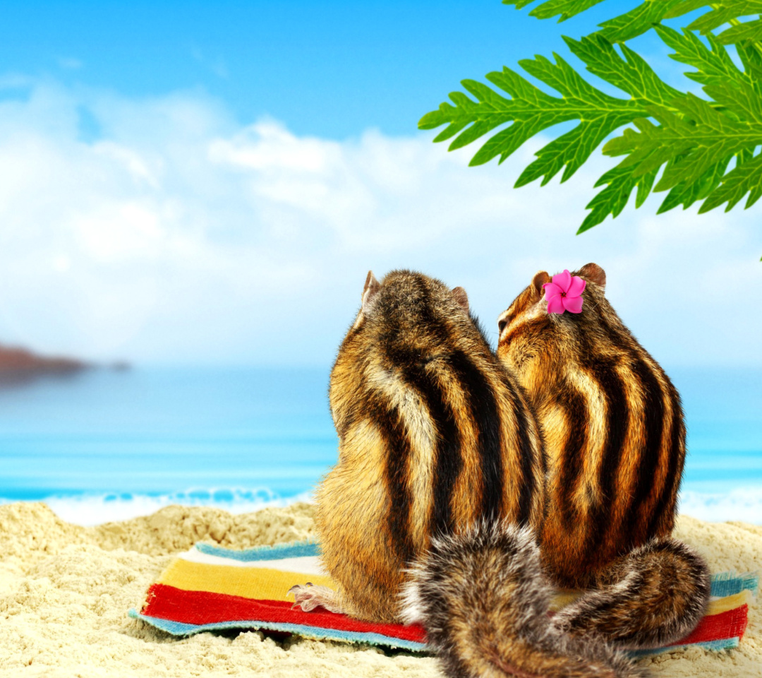 Chipmunks on beach wallpaper 1080x960
