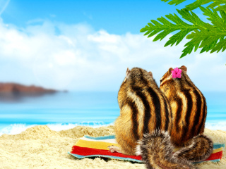 Chipmunks on beach screenshot #1 320x240