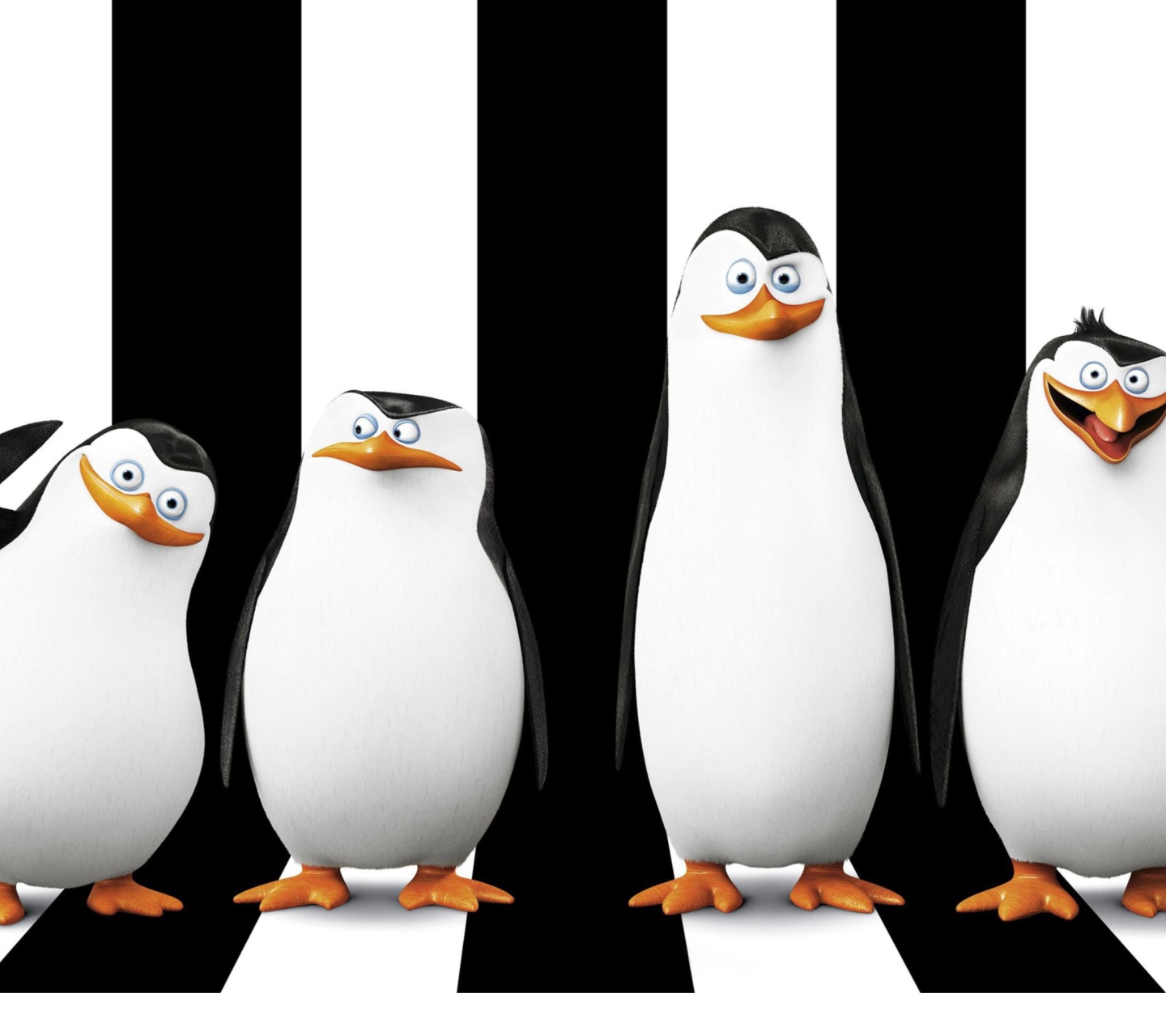 Das Penguins Madagascar Wallpaper 1440x1280