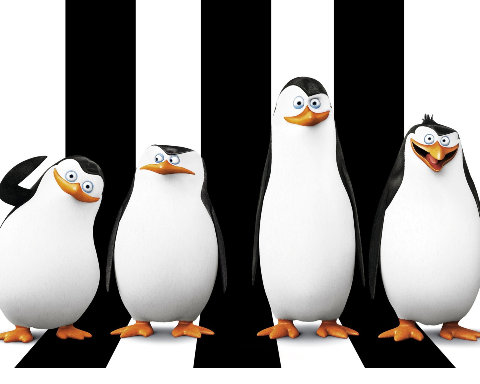 Fondo de pantalla Penguins Madagascar 1600x1280