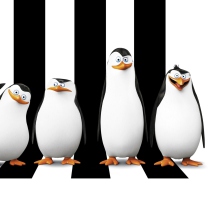Penguins Madagascar wallpaper 208x208