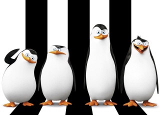 Das Penguins Madagascar Wallpaper 320x240